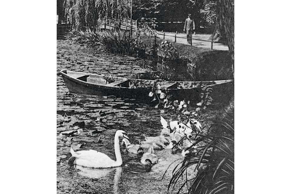 Freizeit, Natur und Erholung – Schwäne schwimmen neben einem Ruderboot auf dem Klarensee. @ Museen Tempelhof-Schöneberg/Archiv, Postkarte: Kunstverlag J. Goldiner